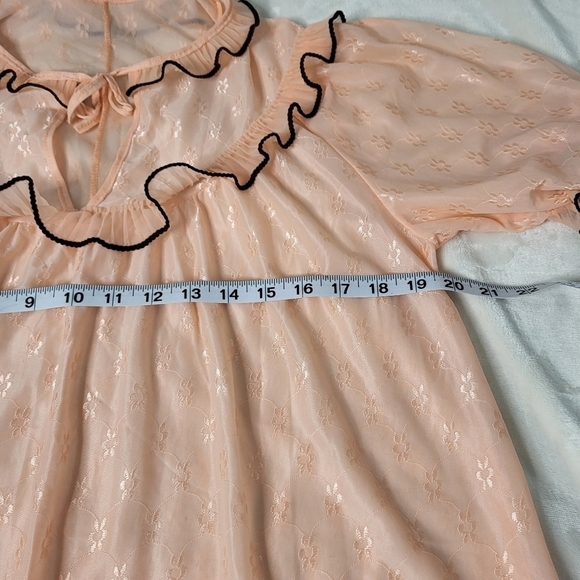 Vintage Sheer Night Dress. - Picture 7 of 8